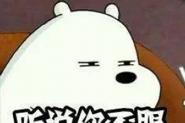 石河子讨债公司成功追回拖欠八年欠款50万成功案例